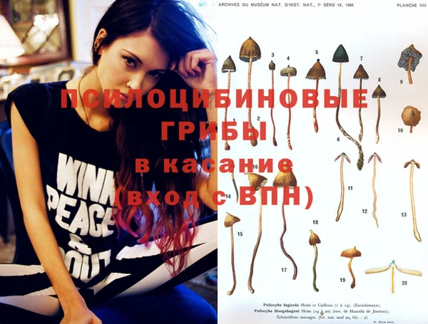 Альфа ПВП Володарск