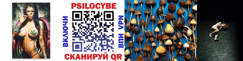 Купить где Биробиджан Псилоцибиновые грибы Psilocybe