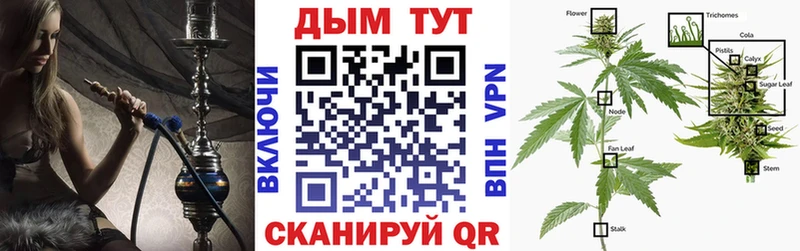 Бошки Шишки Amnesia  Купить где  Биробиджан 